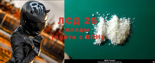 прущие грибы Вязники