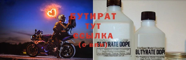 прущие грибы Вязники