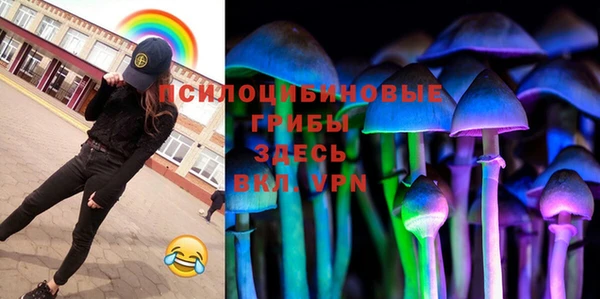 бутират Гусев