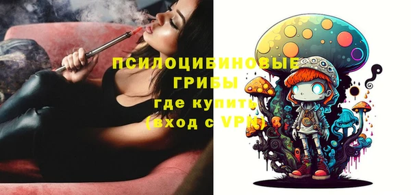 крисы Вяземский