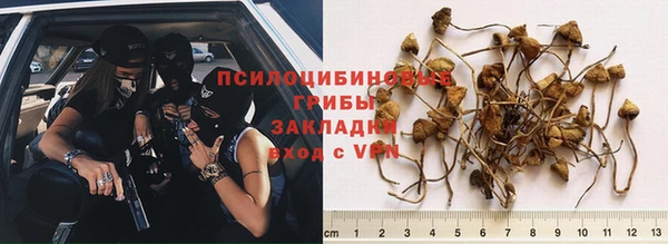 крисы Вяземский