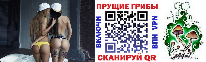 Псилоцибиновые грибы ЛСД  Жигулёвск 