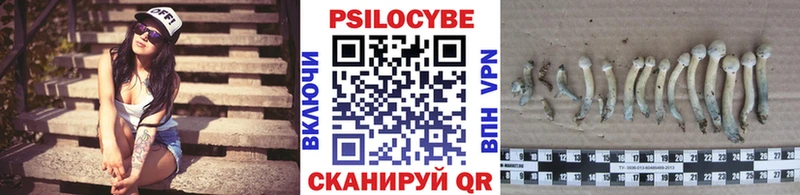 Псилоцибиновые грибы Cubensis Жигулёвск